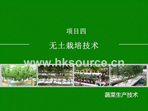蔬菜生產技術（北方本）課件 4.2、栽培槽選擇與建造.ppt