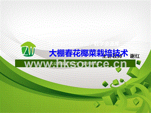 設施蔬菜生產-花椰菜設施栽培技術1.ppt