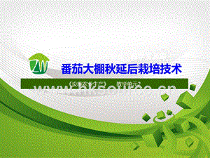 設施蔬菜生產-番茄秋延后大棚栽培4.ppt