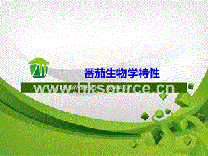 設施蔬菜生產-番茄的生物學特性2.ppt