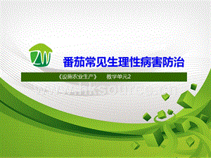 設施蔬菜生產-番茄常見生理性病害5.ppt