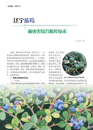 遼寧藍莓病蟲害綜合防控技術_林杉.pdf